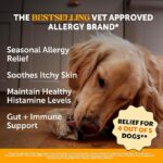 Pet Honesty Dog Allergy Itch Relief - Image 3