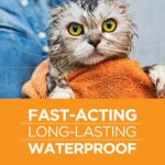 FirstAct Plus Flea and Tick Prevention for Cats 1.5 lbs and Over - Image 2